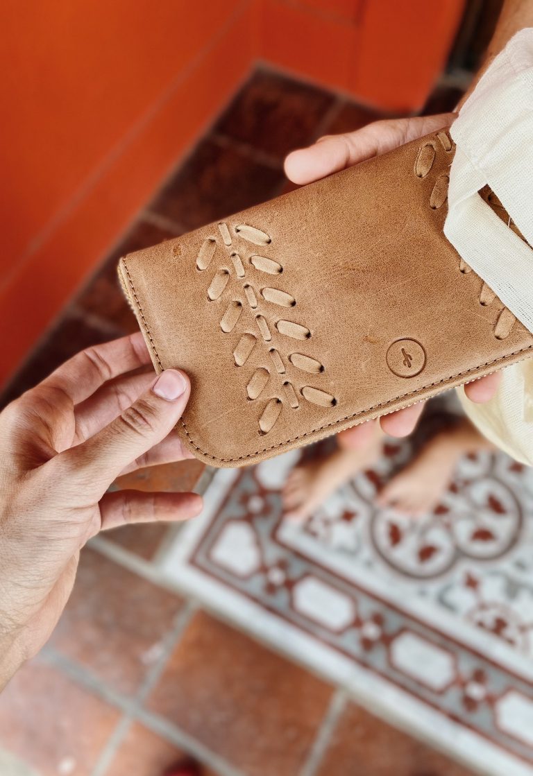 pexels kaktus argentina 8325258