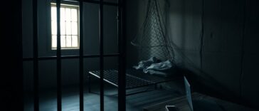 thodex en de fatale val van faruk fatih ozer wat er is gebeurd 1762066948