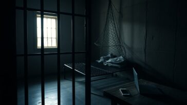 thodex en de fatale val van faruk fatih ozer wat er is gebeurd 1762066948